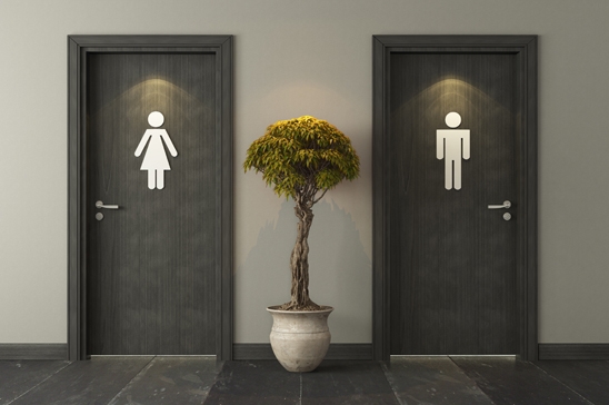 Never before has a Budget delivered so much potential for toilet puns.